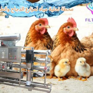 محطة تحلية مياه لمزارع الدجاج والطيور